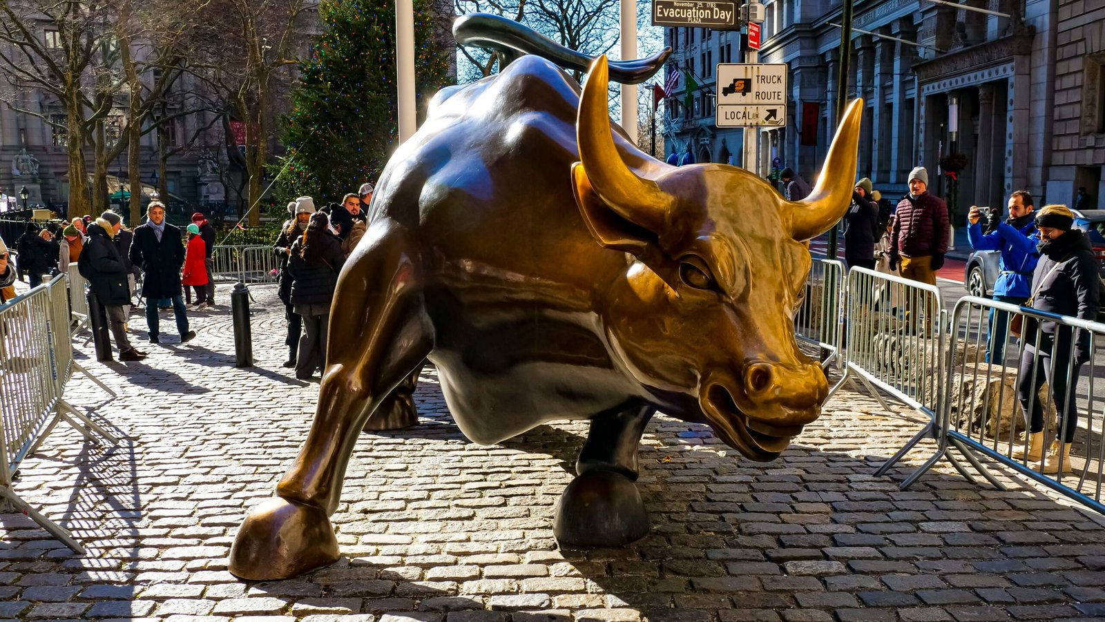 WallStreetBull