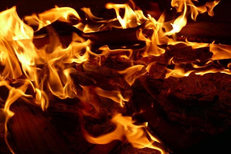 Detailed image of vibrant flames dancing on burning firewood, creating warmth and light.